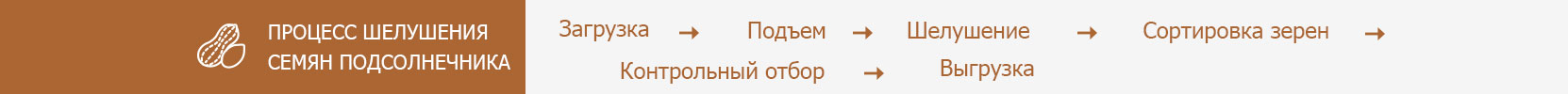 семена-подсолнечника.jpg