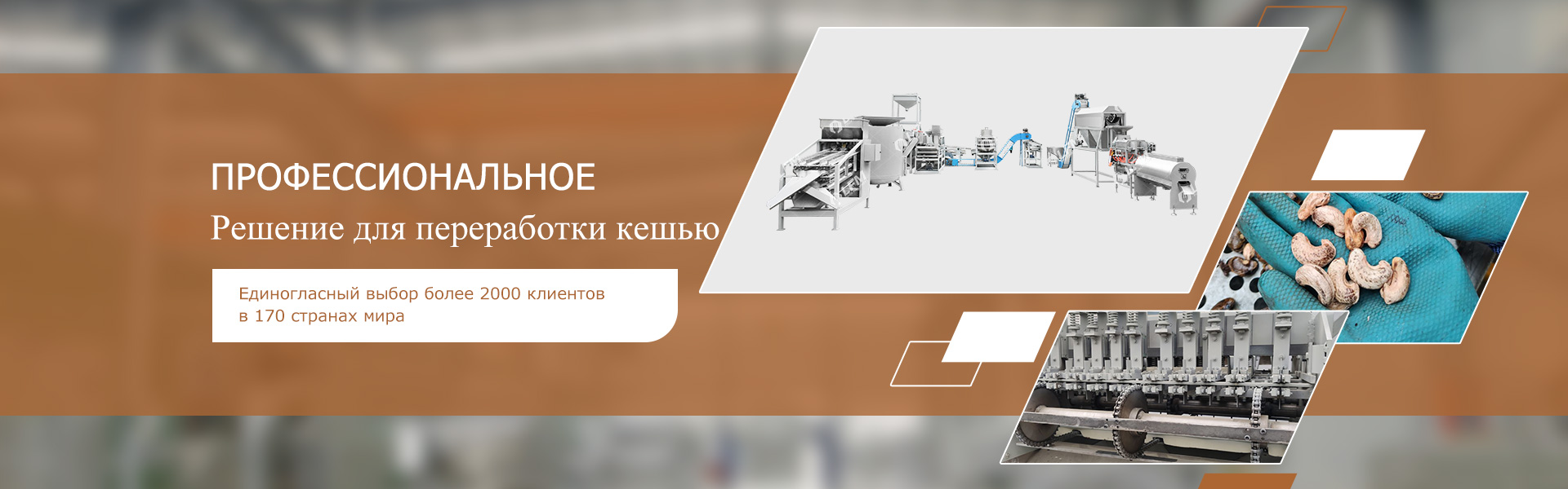 Решения по переработке кешью